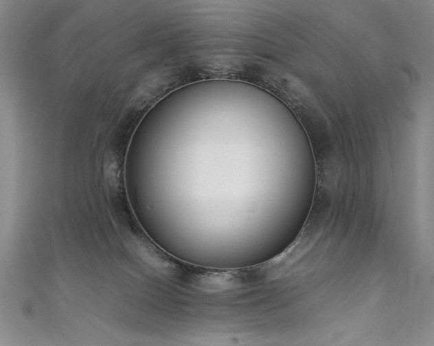 X0000111880086200907231544
