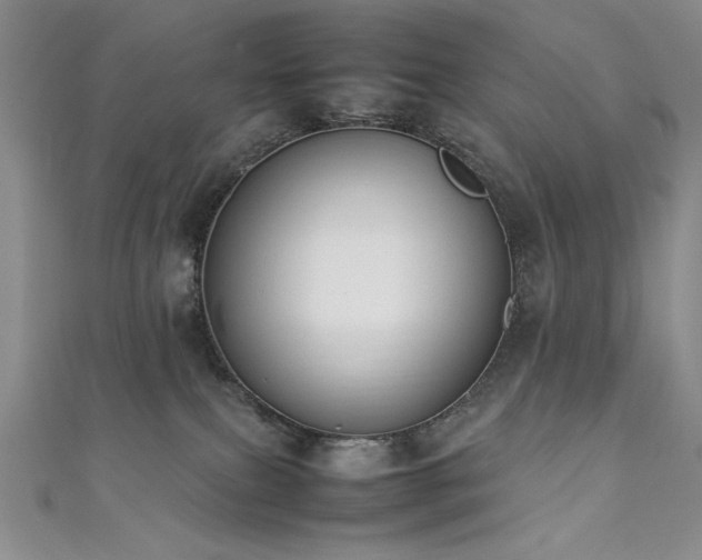 X0000111880087200907231544