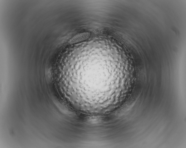 X0000111880088200907231544