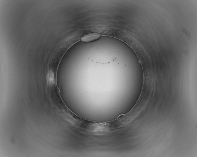 X0000111880089200907231544