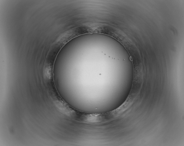 X0000111880090200907231544