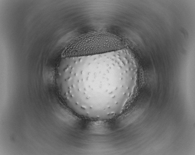 X0000111880092200907231544
