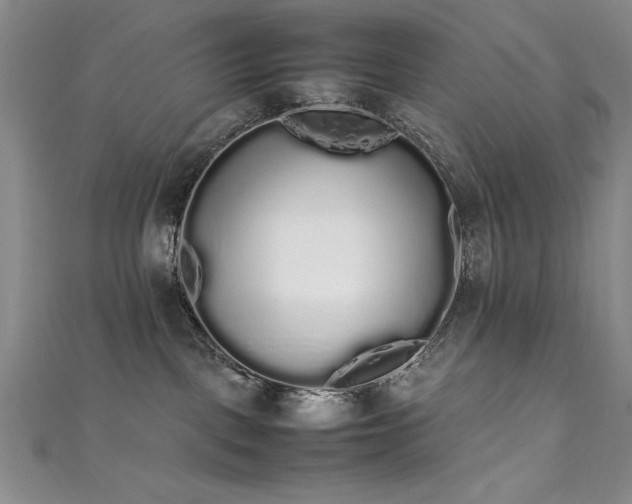 X0000111880093200907231544