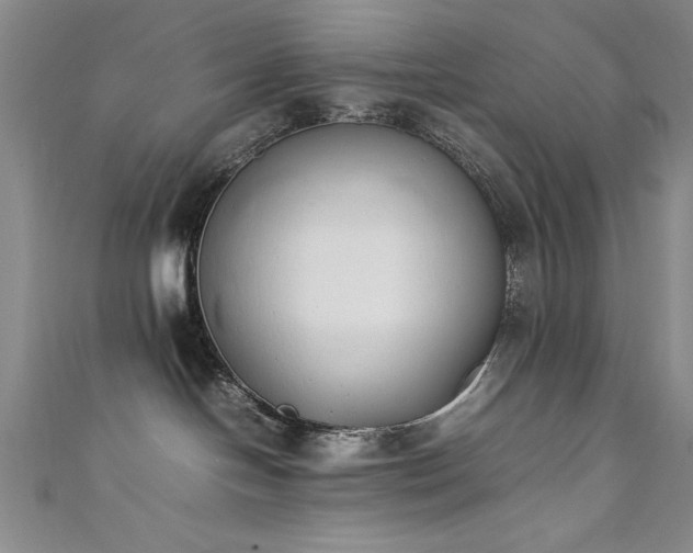 X0000111880094200907231544