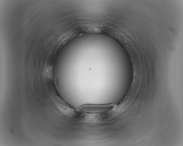 X0000111880096200907231544
