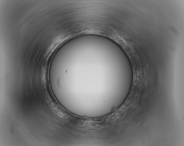 X0000111880098200907231543