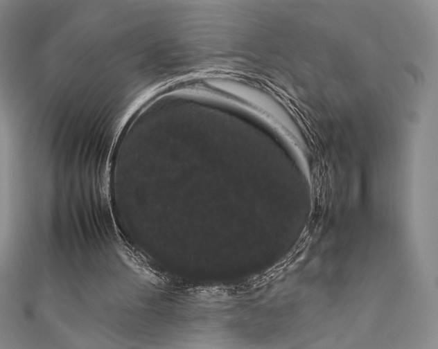 X0000111880100200907231543