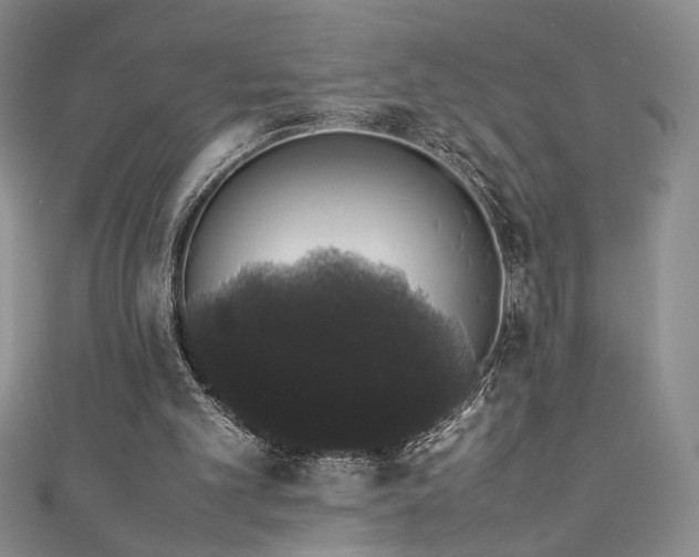 X0000111880101200907231543