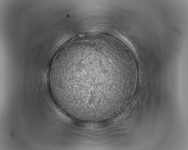 X0000111880105200907231543