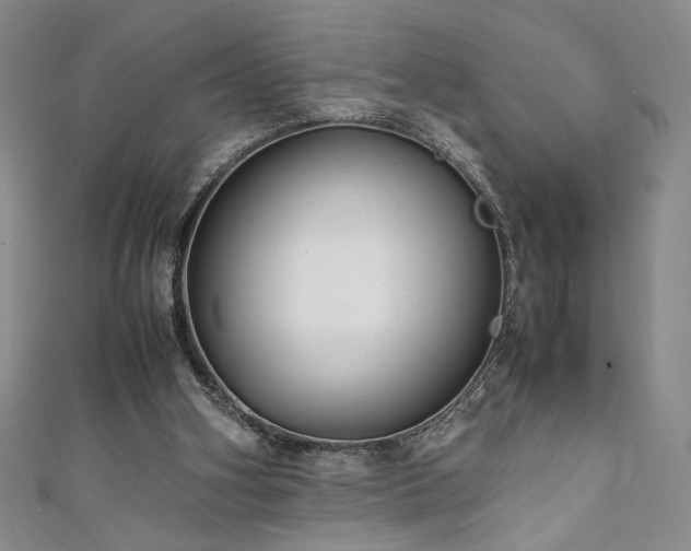 X0000111880106200907231543