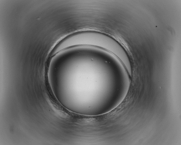 X0000111880108200907231543