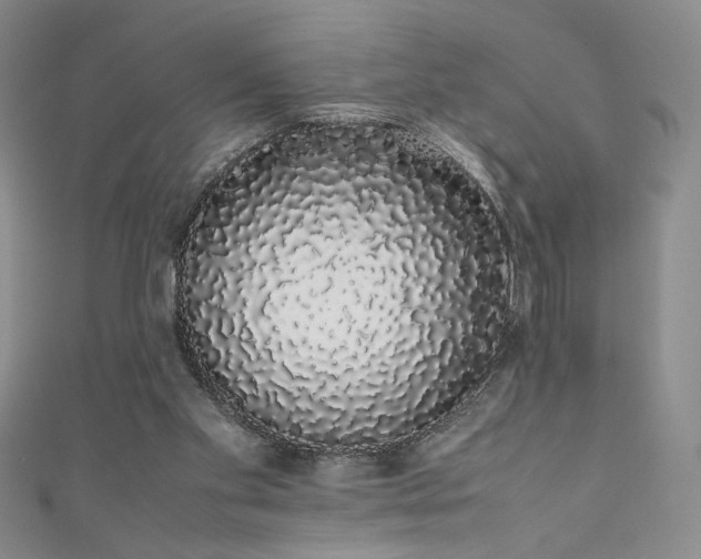 X0000111880109200907231543