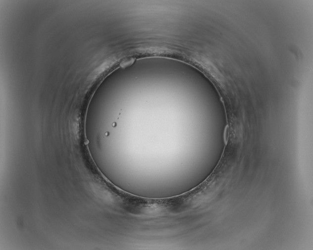 X0000111880111200907231543