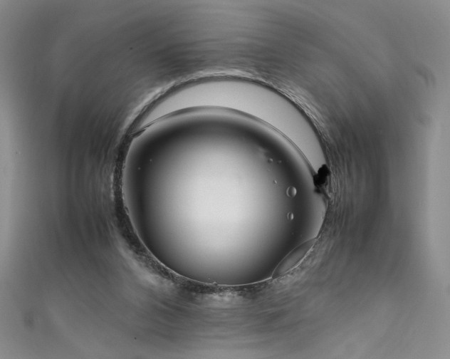 X0000111880112200907231543