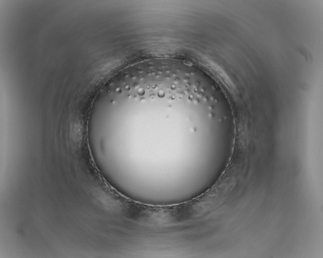 X0000111880113200907231543