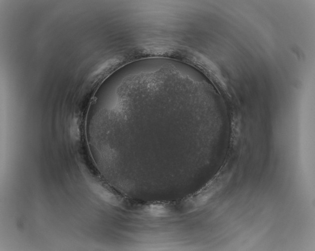 X0000111880114200907231543