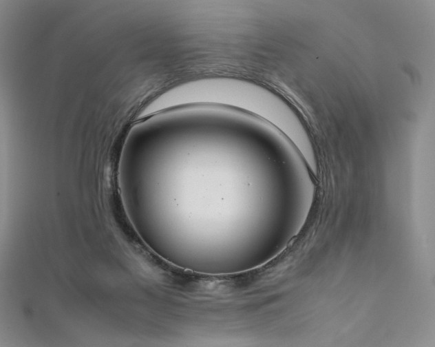 X0000111880117200907231543
