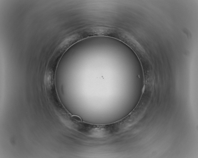X0000111880119200907231543