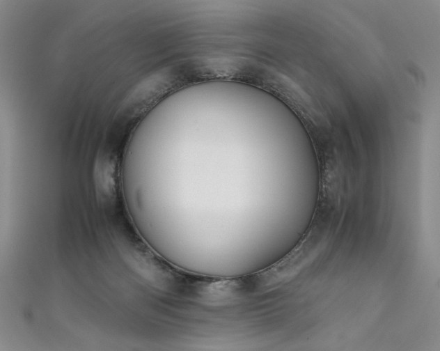 X0000111880122200907231543
