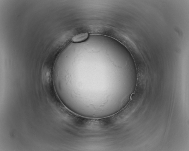 X0000111880123200907231543