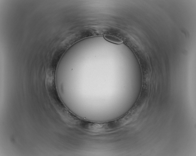 X0000111880129200907231543