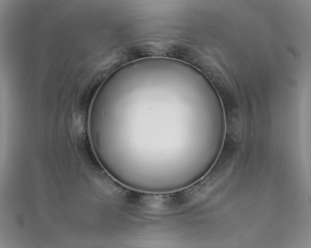 X0000111880131200907231543