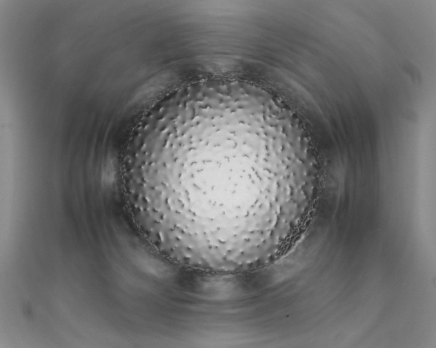X0000111880132200907231543