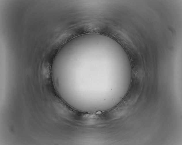 X0000111880133200907231543