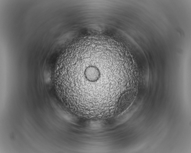 X0000111880134200907231543