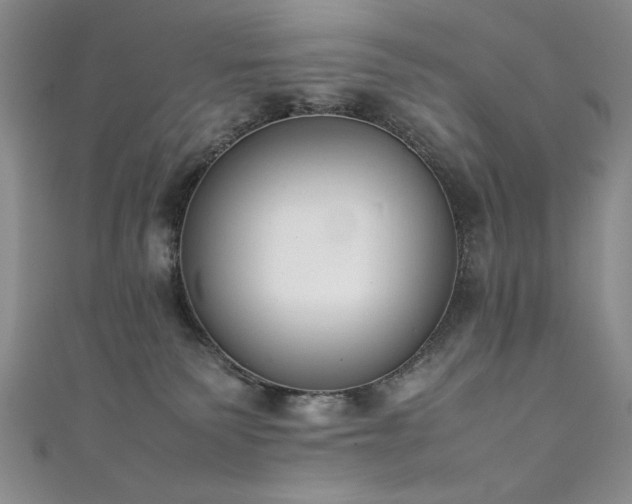 X0000111880135200907231543