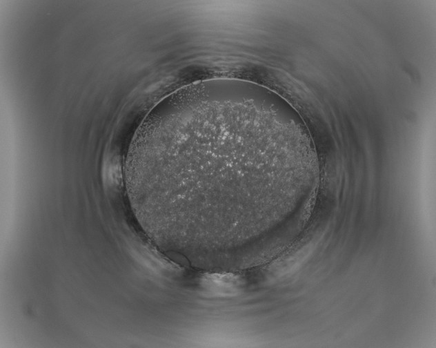 X0000111880137200907231543