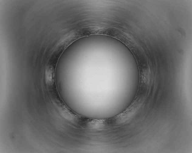 X0000111880138200907231543