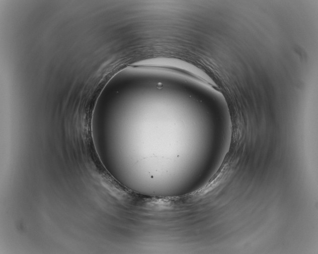 X0000111880140200907231543