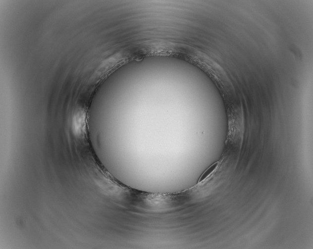 X0000111880142200907231543