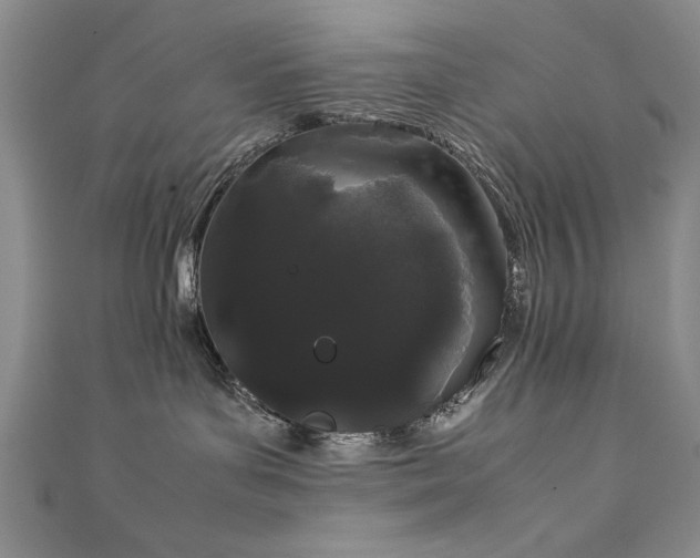 X0000111880143200907231543