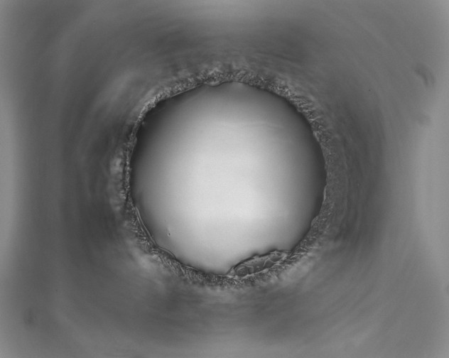 X0000111880144200907231543