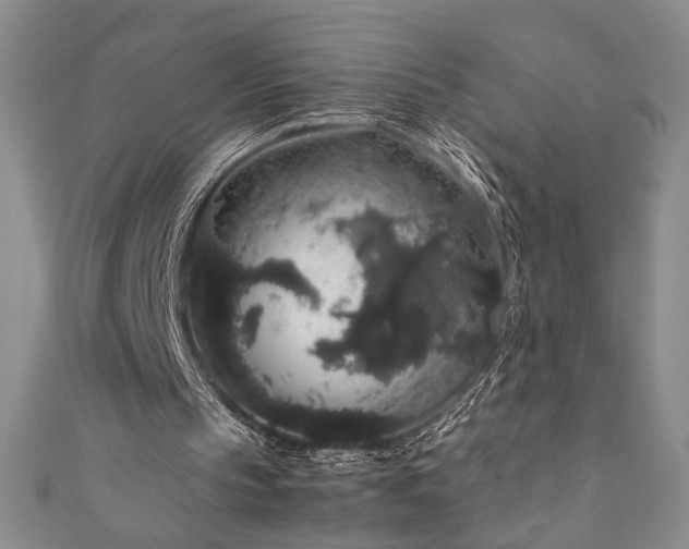 X0000111880145200907231542
