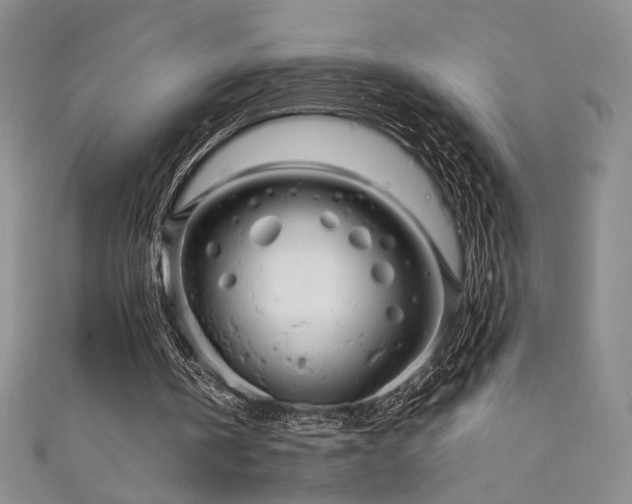 X0000111880146200907231542