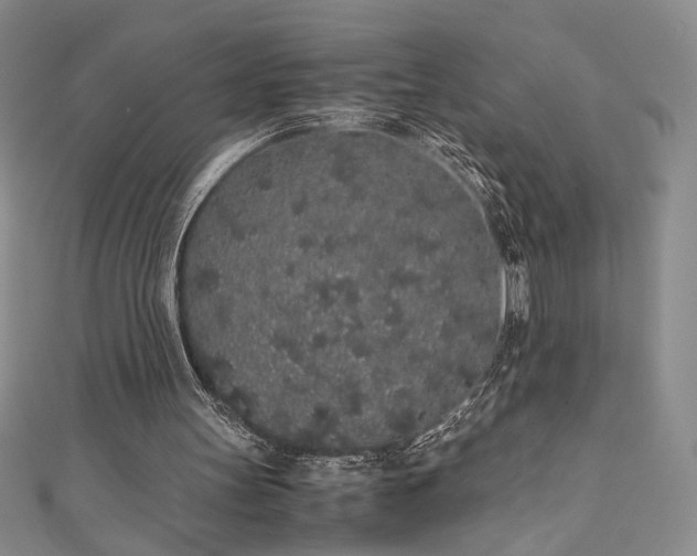 X0000111880147200907231542