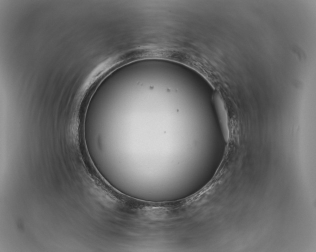 X0000111880150200907231542