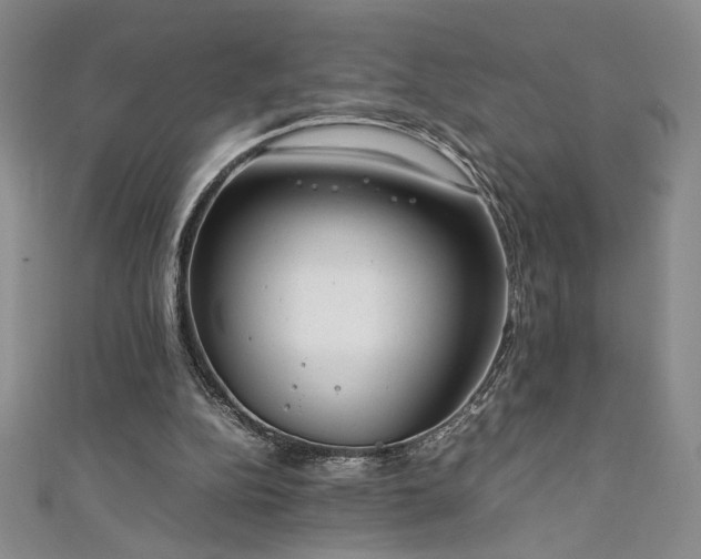 X0000111880152200907231542