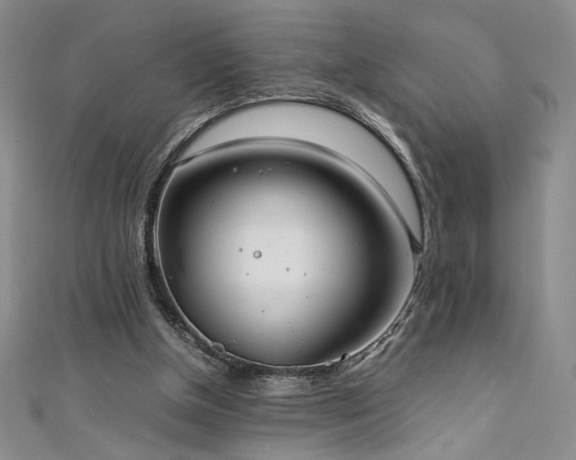 X0000111880154200907231542