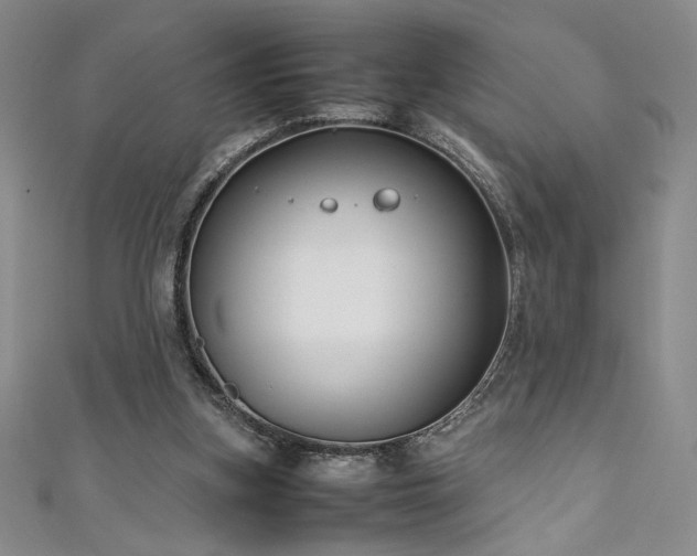 X0000111880155200907231542