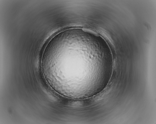 X0000111880156200907231542