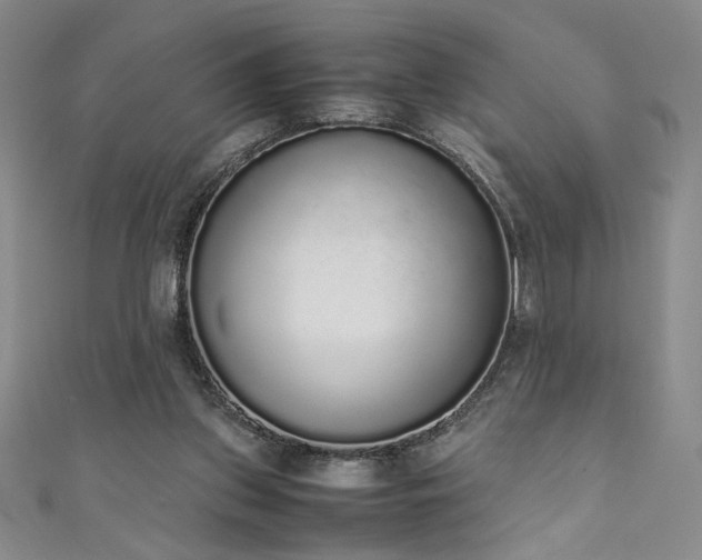 X0000111880157200907231542