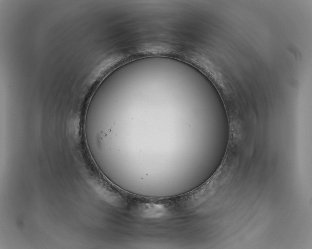 X0000111880159200907231542