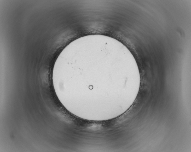 X0000111880162200907231542