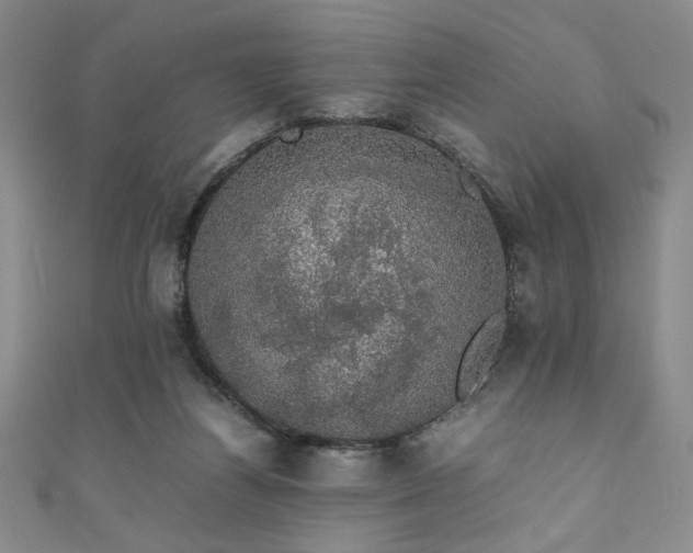 X0000111880164200907231542