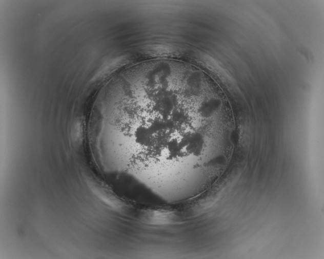 X0000111880165200907231542