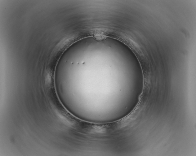 X0000111880166200907231542